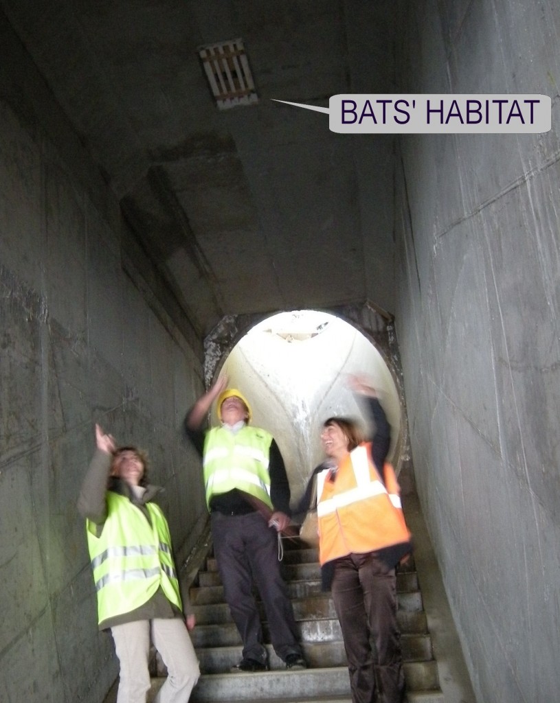 Nadia Fabre, ITER Itinerary project manager, Hélène Philip (Mission ITER), and Bernard Saunal, works director for BEC-Eiffage, point to the newly completed bat habitats in the Mirabeau vaulted canals.