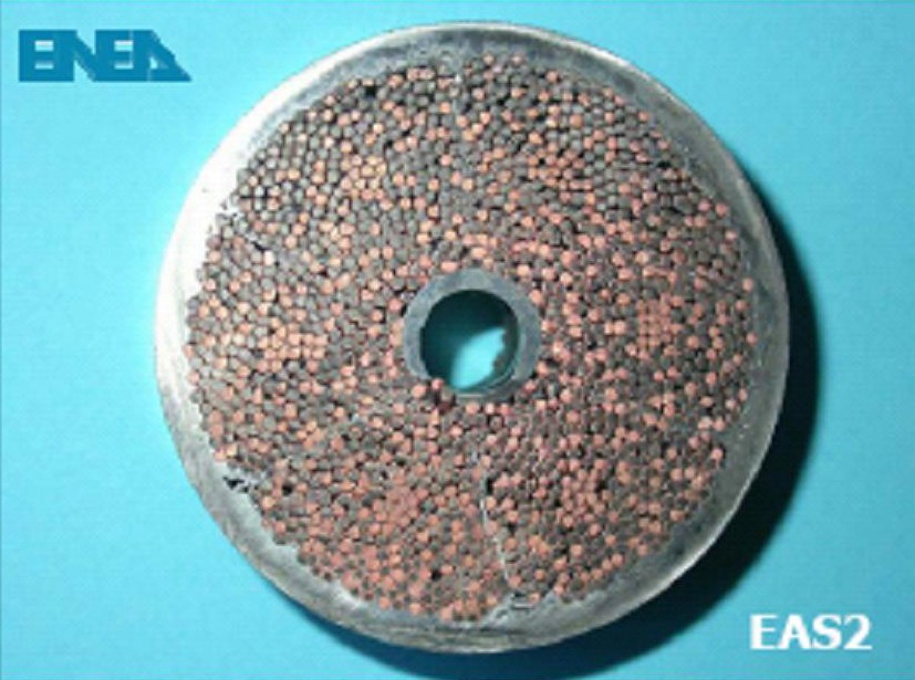 Cross section of the EAS cable.